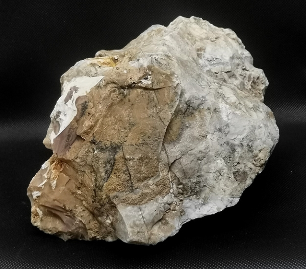 Wüstenjaspis